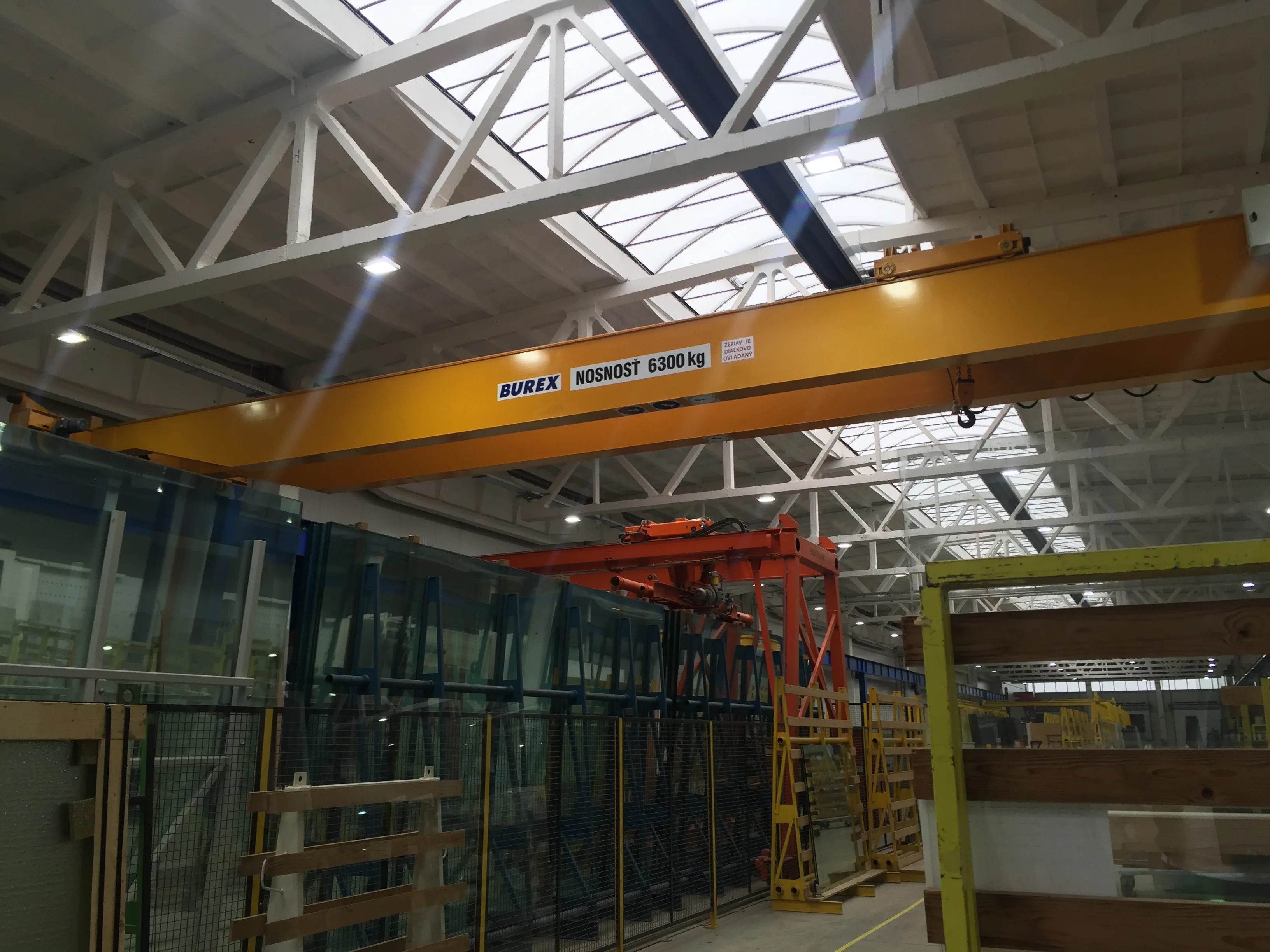 Overhead crane — BUREX project 30