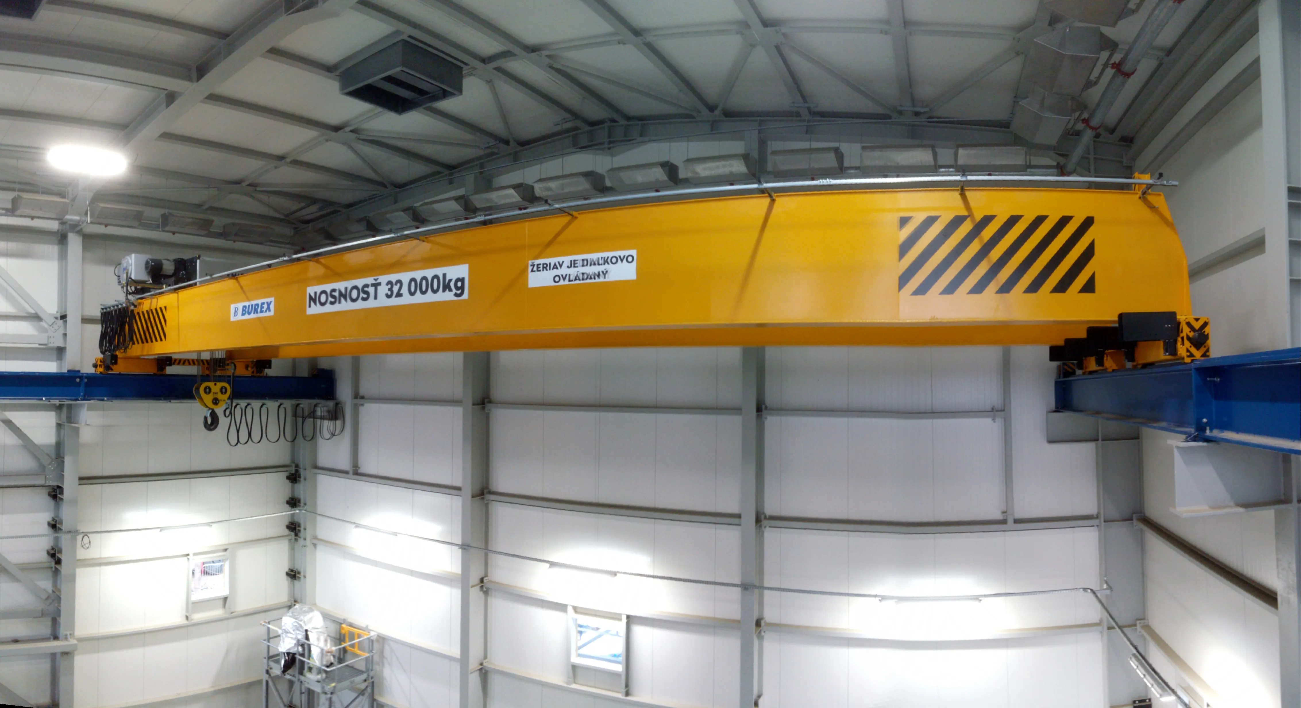 Overhead crane — BUREX project 38