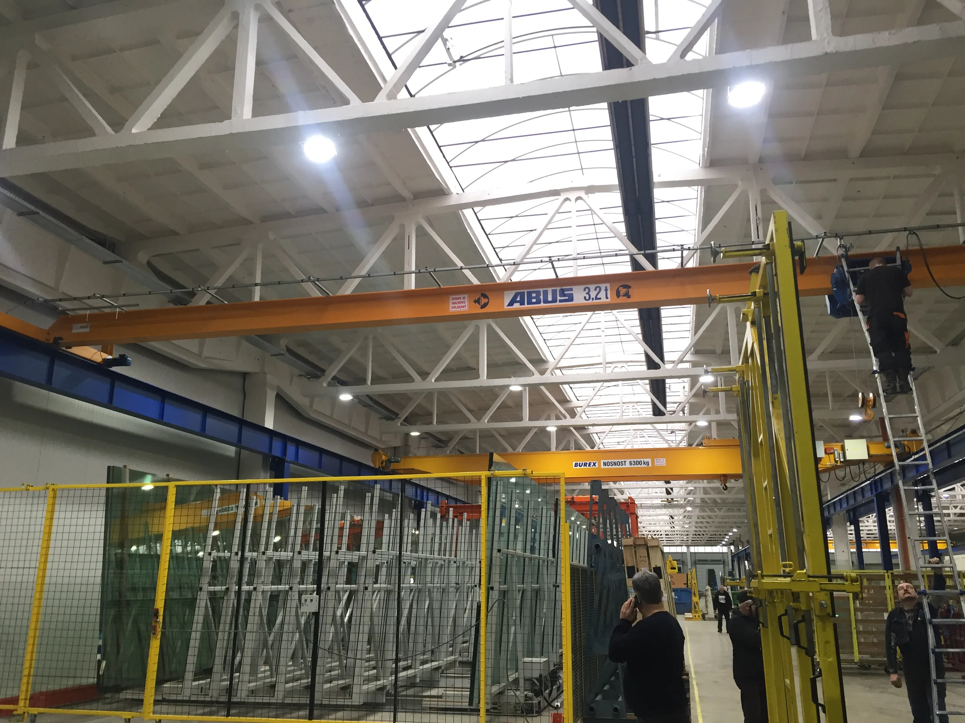 Overhead crane — BUREX project 39